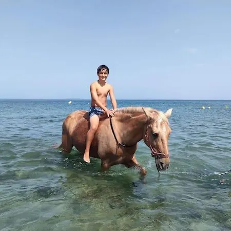 Casa Katia - Relax Natura Ed Il Mare Di Alghero Hébergement de vacances *