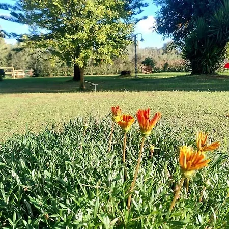 Promozione - Casa Katia Alghero Nyaraló *